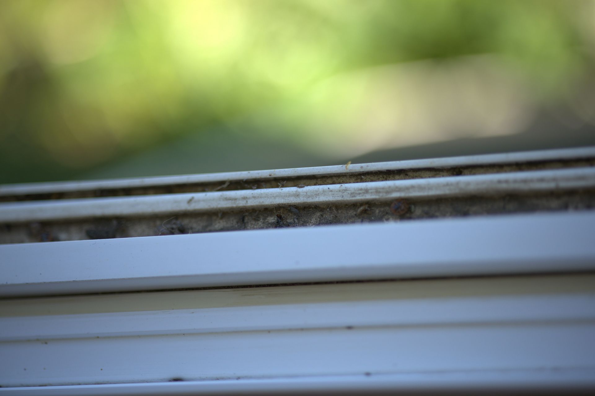 GP Window Clean gallery photo